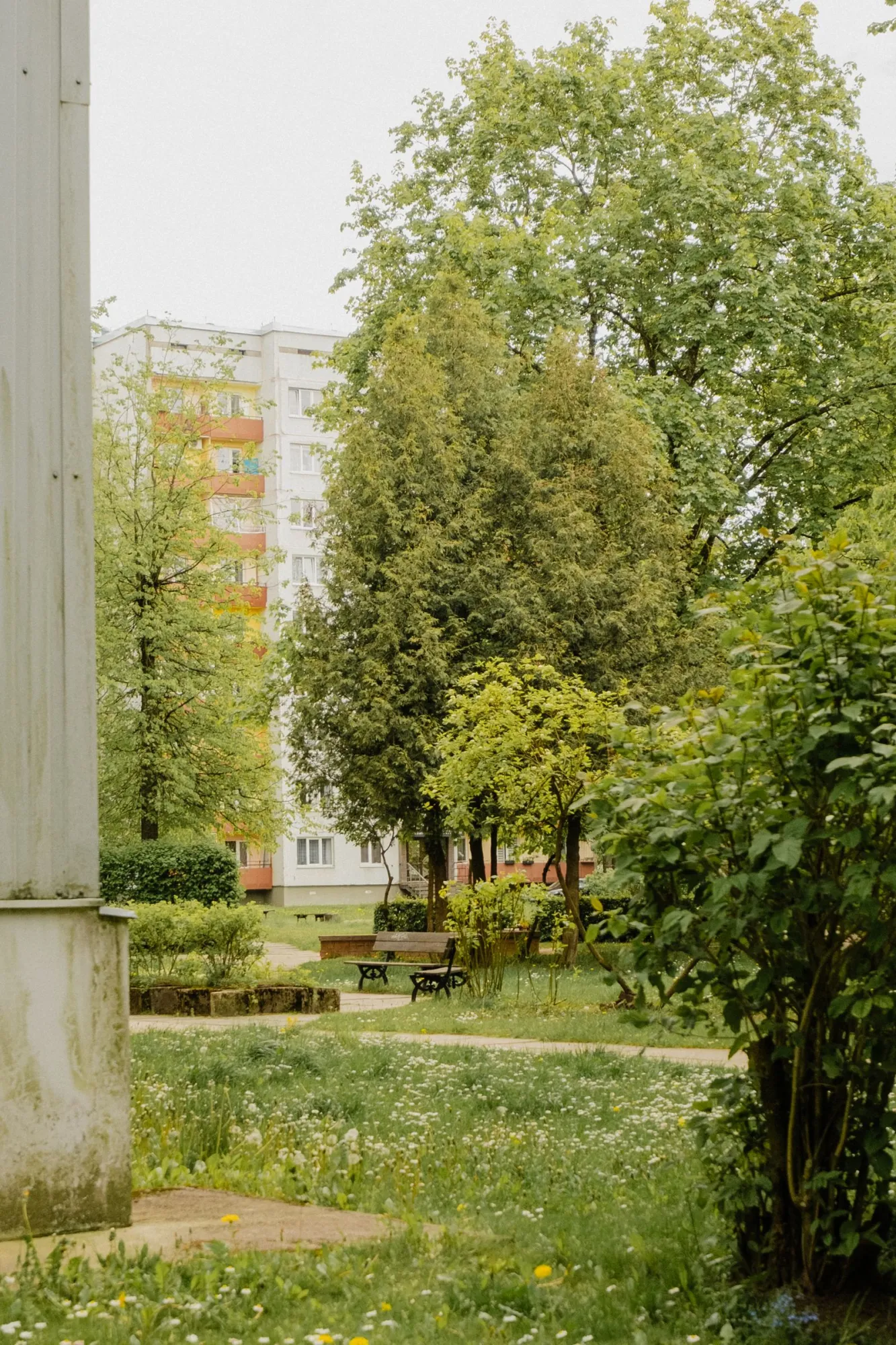 Park lawn with trees and benches near the pavilion